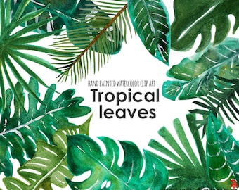 Tropical clip art: "TROPICAL LEAF clip art" hand painted watercolor clip art, digital flowers, palm leaves 12 PNG files (5238)