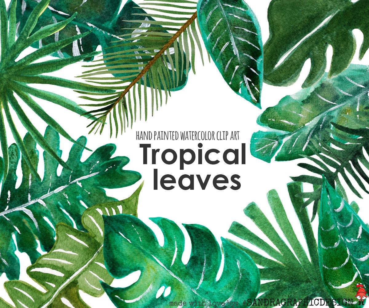 clip art tropical leaves - photo #38