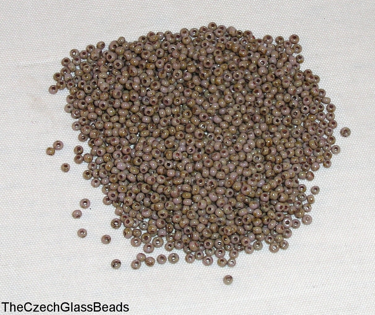 20g CZECH SEED BEADS 11/0 23020/86800 281.