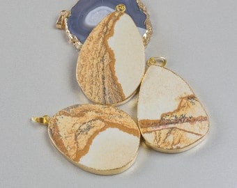 Picture Jasper Oval Pendants Gold Bezzle 1.75 Inches Long.