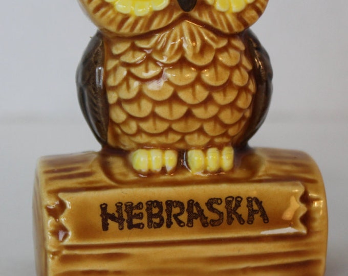 Vintage Owl Salt and Pepper Shakers, Nebraska Souvenir, Kitchen Collectible