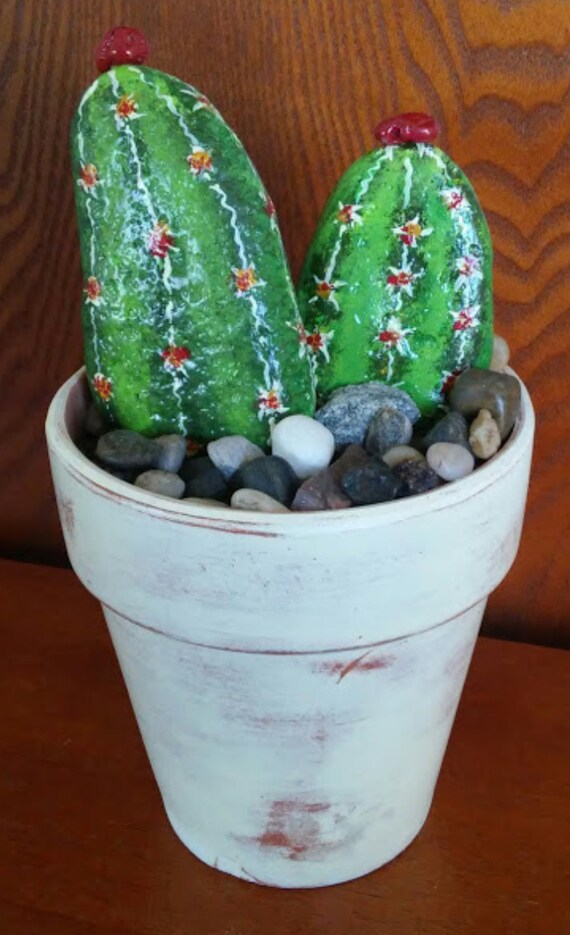 Rock Art Hand Painted CACTUS Rocks with 5 inch Terracotta