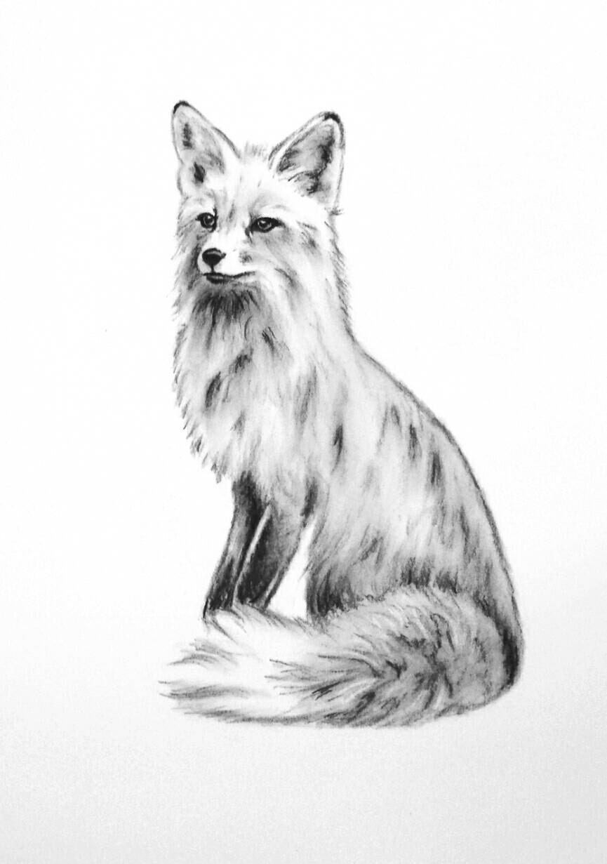 Fox Art ORIGINAL Charcoal Drawing Animal Sketch Nursery Art