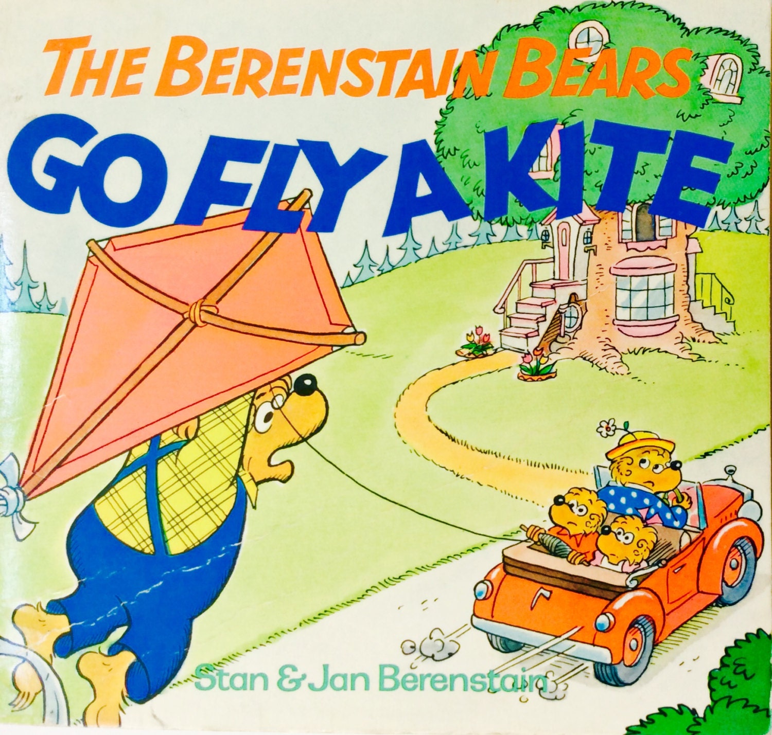 the berenstain bears go fly a kite