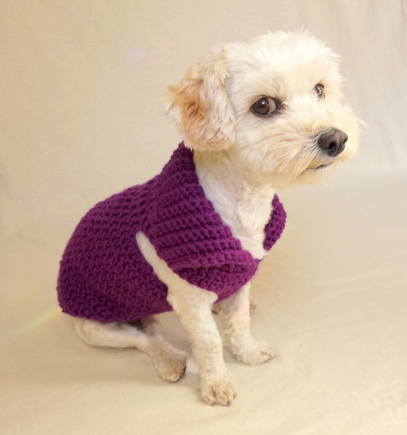 purple dog sweater small dog sweater medium dog coat small