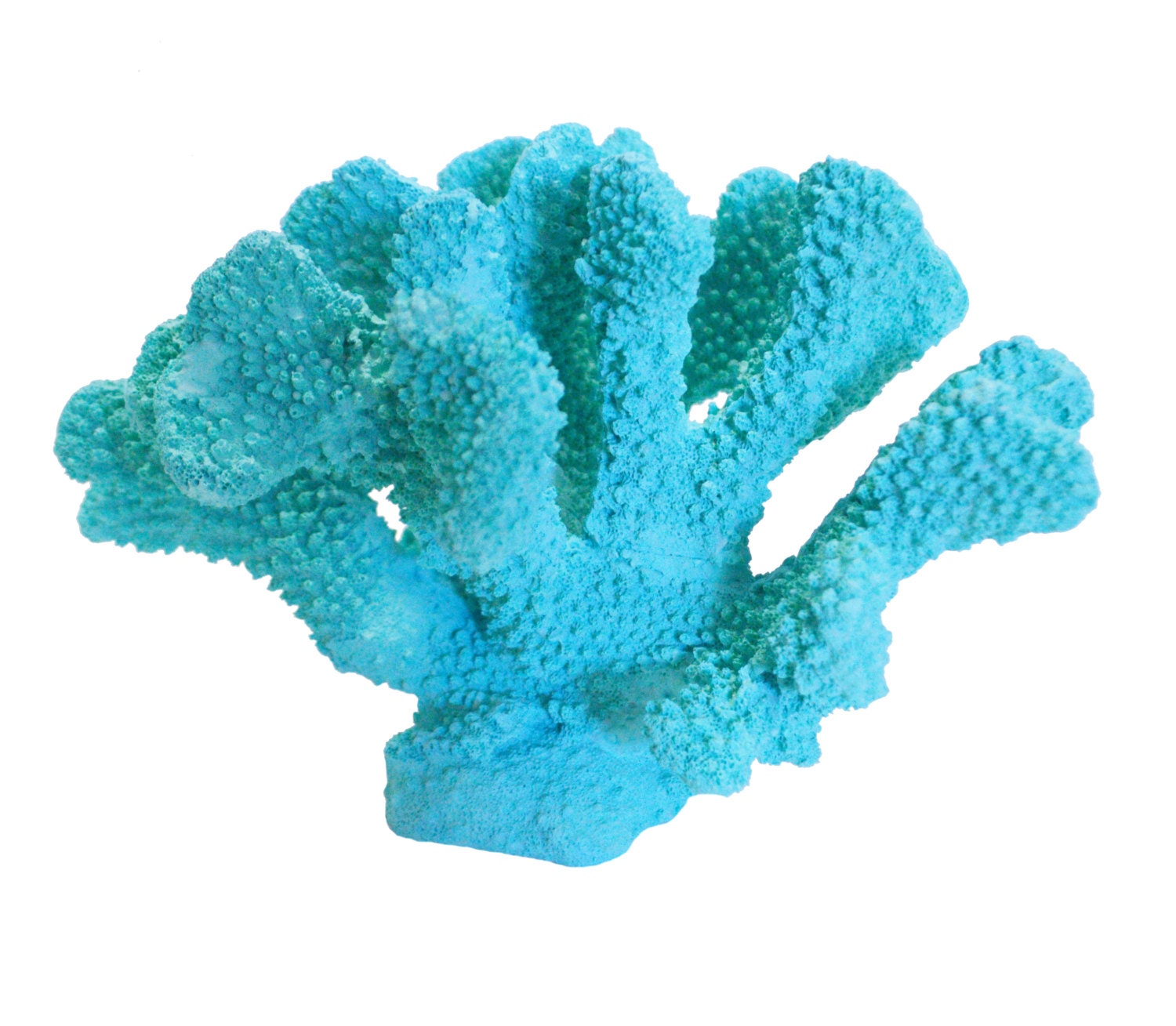 large turquoise sea coral reef nautical coastal home decor large turquoise sea coral reef nautical coastal home decor