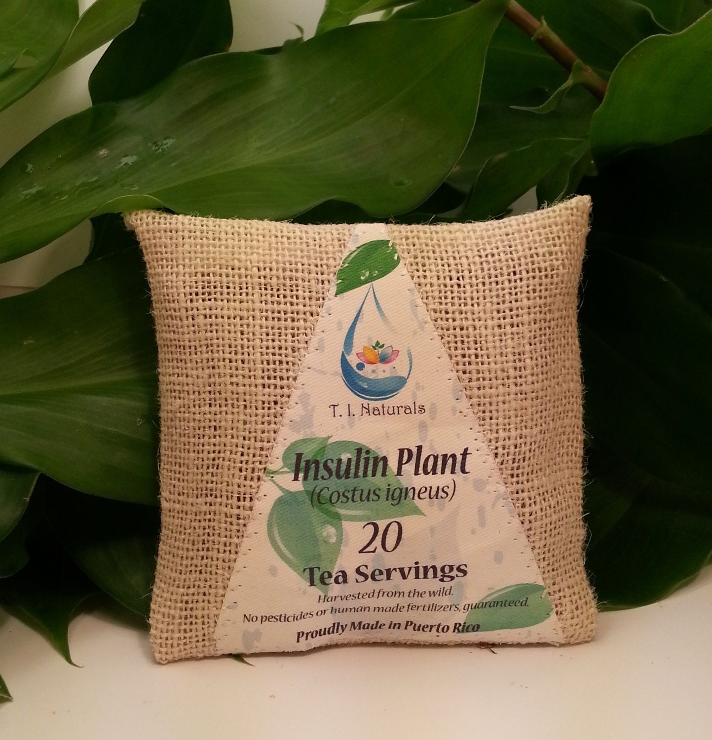 medicinal-tea-insulin-plant-costus-igneus-20-by-tinaturals