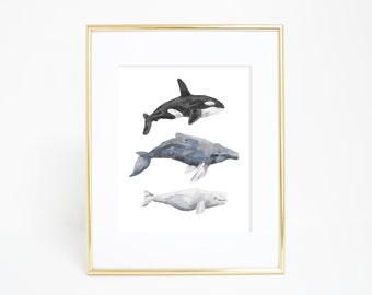 Whale Art Print, Whale Print, Watercolor Art, Coastal Art Decor Humpback Beluga Orca Nautical Nursery Top Sellers Printable Wall Art Digital