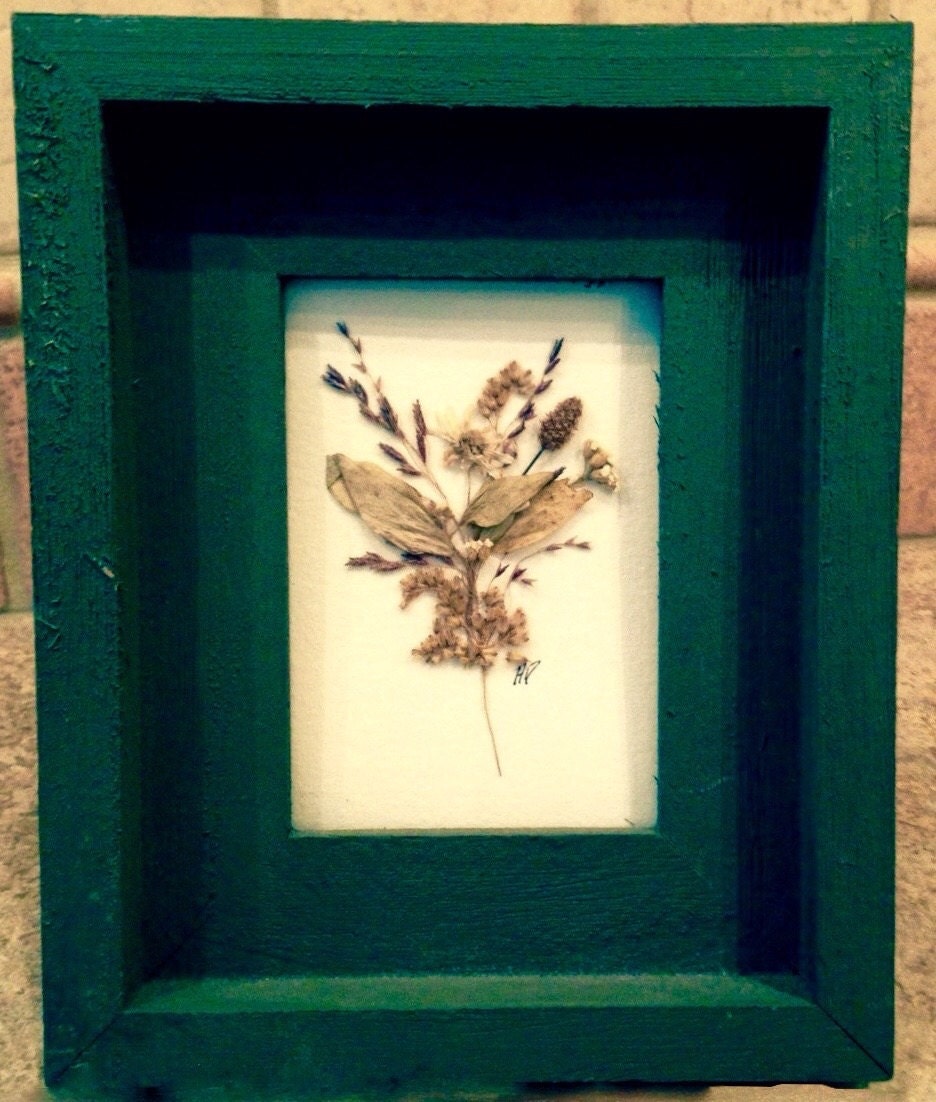 Pressed Fall Wildflowers