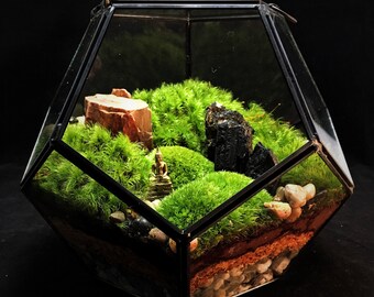 Large Geometric Landscape Terrarium // Moss Terrarium // Indoor Plants // Industrial Decor