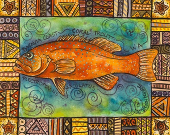 Coral Trout - western Australia