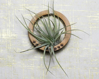 Circular air plant holder. Air plant hanger. Air plant. Boho decor. Hanging terrarium. Bohemian decor. Geometric Terrarium. Mini planter.