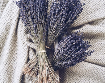 250+ Stems Lavender, One Bunch, Preserved, Dry English, Dry Lavender, Wedding, Home Decor Bunch Bouquet Dried Lavender Flowers Floral