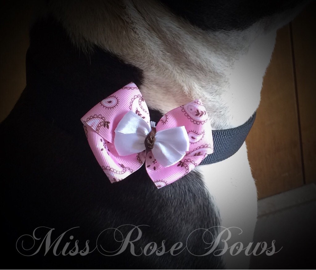 Pink Dog Collar BowDog Collar Bow by MissRoseBowsAndMore on Etsy
