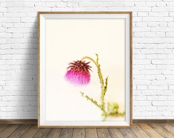 photography, botanical, instant download art printable art, photography, instant download art, modern, wall art, art -"The Sheepish Thistle"