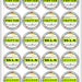 2017 Primary Assignment Stickers Instant Printable Download