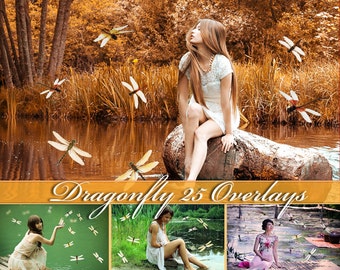 25 Dragonfly Overlays Photoshop Overlay Natural Dragonfly Overlays Flying Dragonflies Flying Dragonfly Photo Overlays Dragonfly PNG
