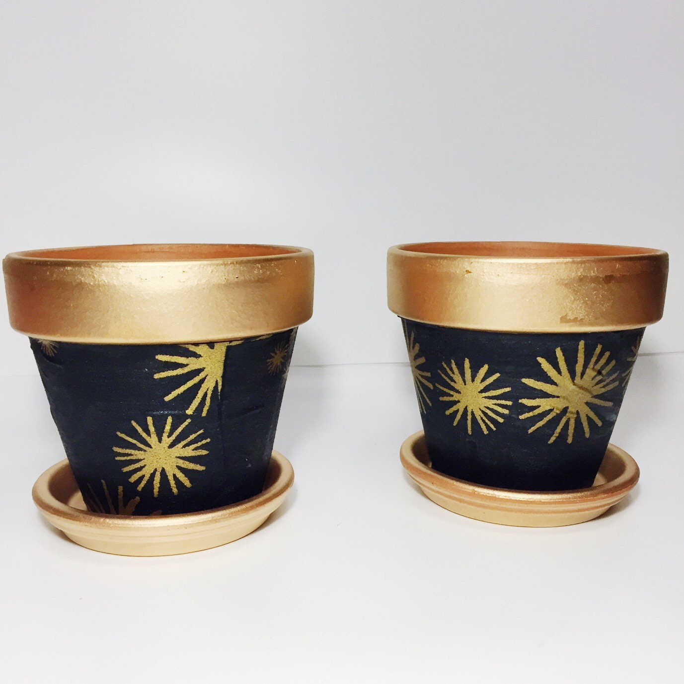 Black and Gold Indoor Planter // Metallic Print Pot