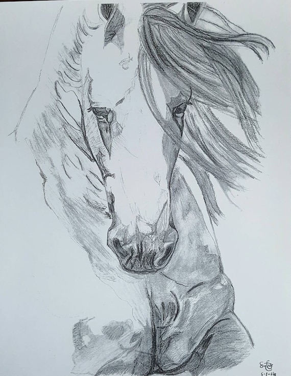 small pencil horse sketch