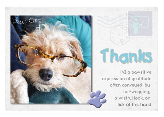 thank-you-cute-pets-thank-you-cards-eco-friendly