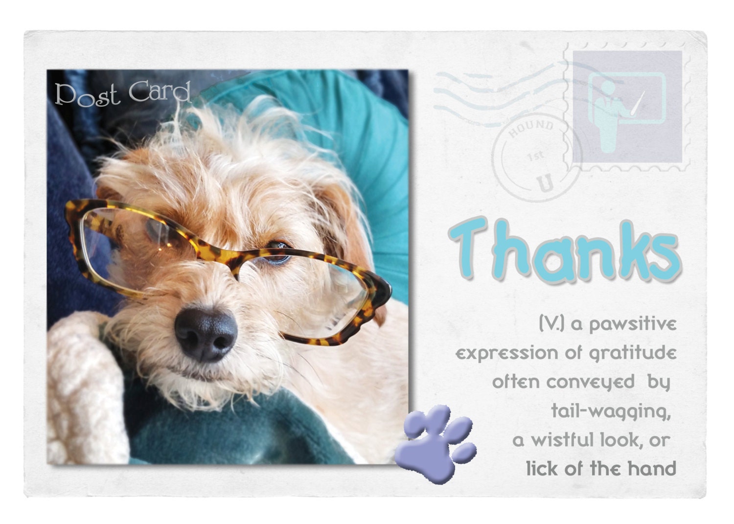 Thank You Cute Pets Thank You Cards Ecofriendly