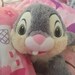 Yiwen Miss Bunny Li