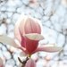 Anna Funabashi
