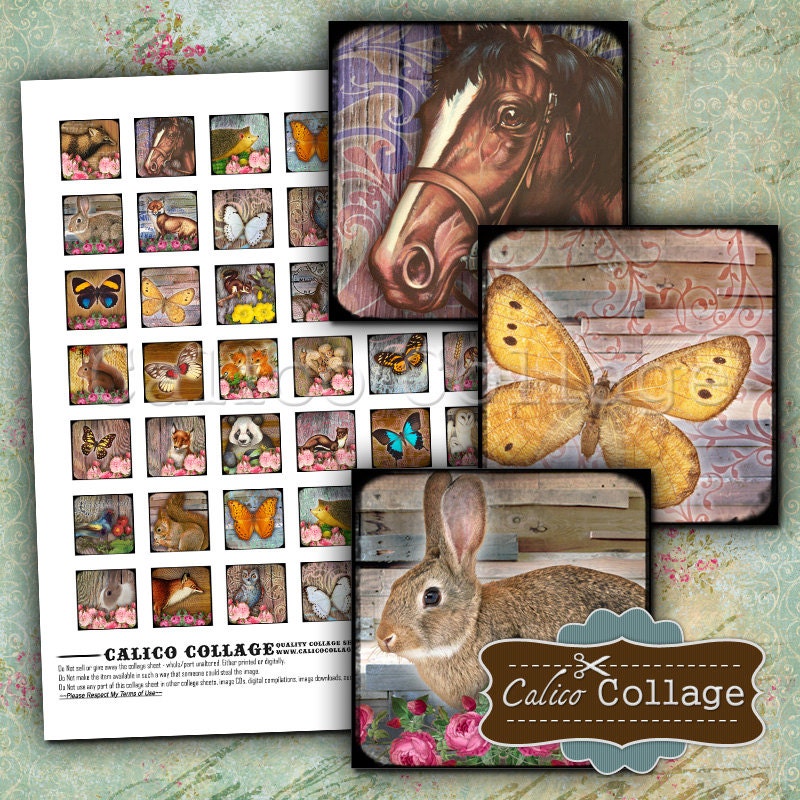 Woodland Animals Collage Sheet 1x1 Inch Squares Printable