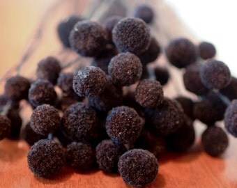Black Craspedia, Black flowers, Halloween flowers, Bunch of Craspedia, Billy Balls, Billy Buttons, Yellow Dried decor, gothic, goth wedding