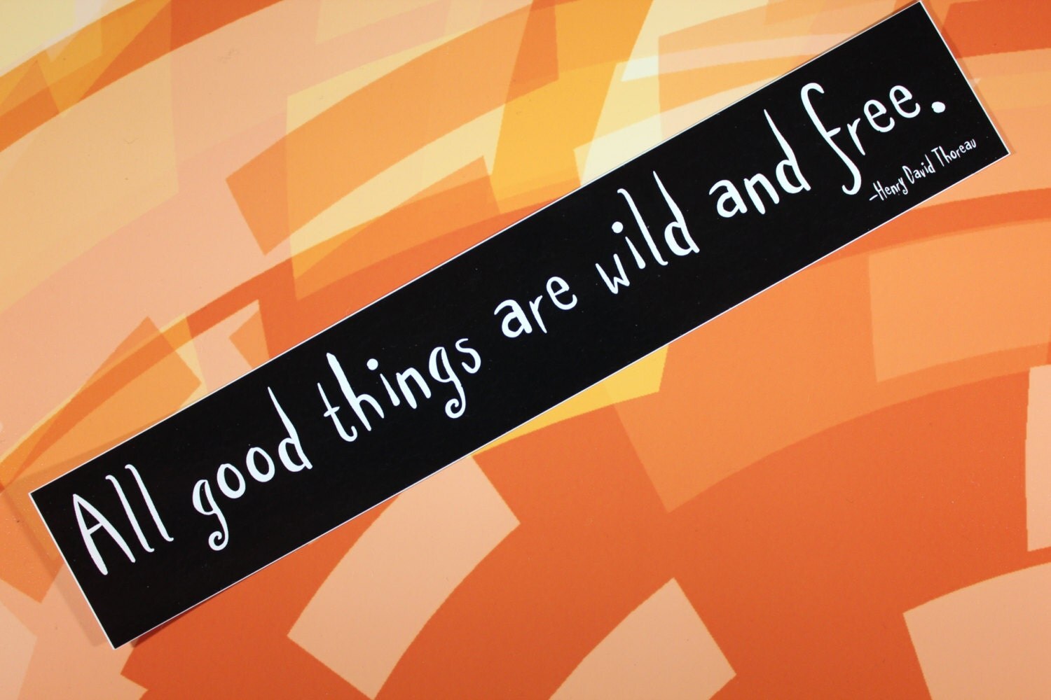 All Good Things Are Wild And Free... Thoreau vinyl sticker