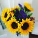 hannahsmall8