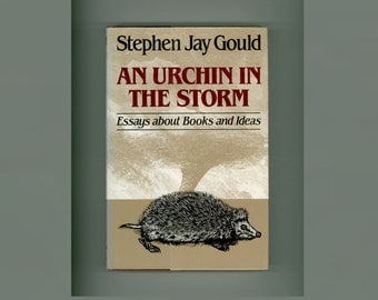 stephen jay gould essays pdf