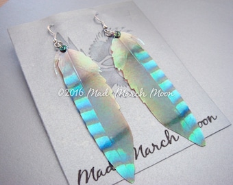 Faux Jay Feather Earrings, iridescent acetate, with sterling silver ear wires, latch back and clip on version avaiable