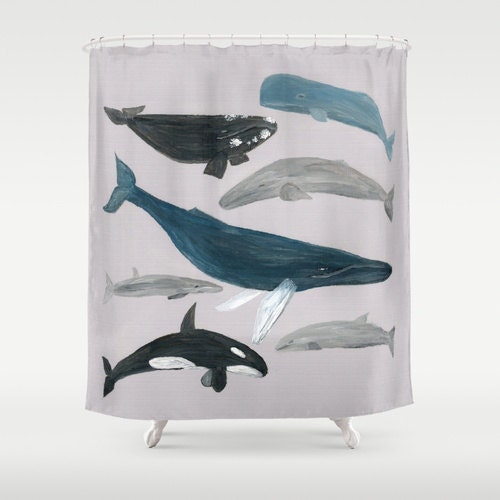 Whale Shower Curtain whales shower curtain nautical shower