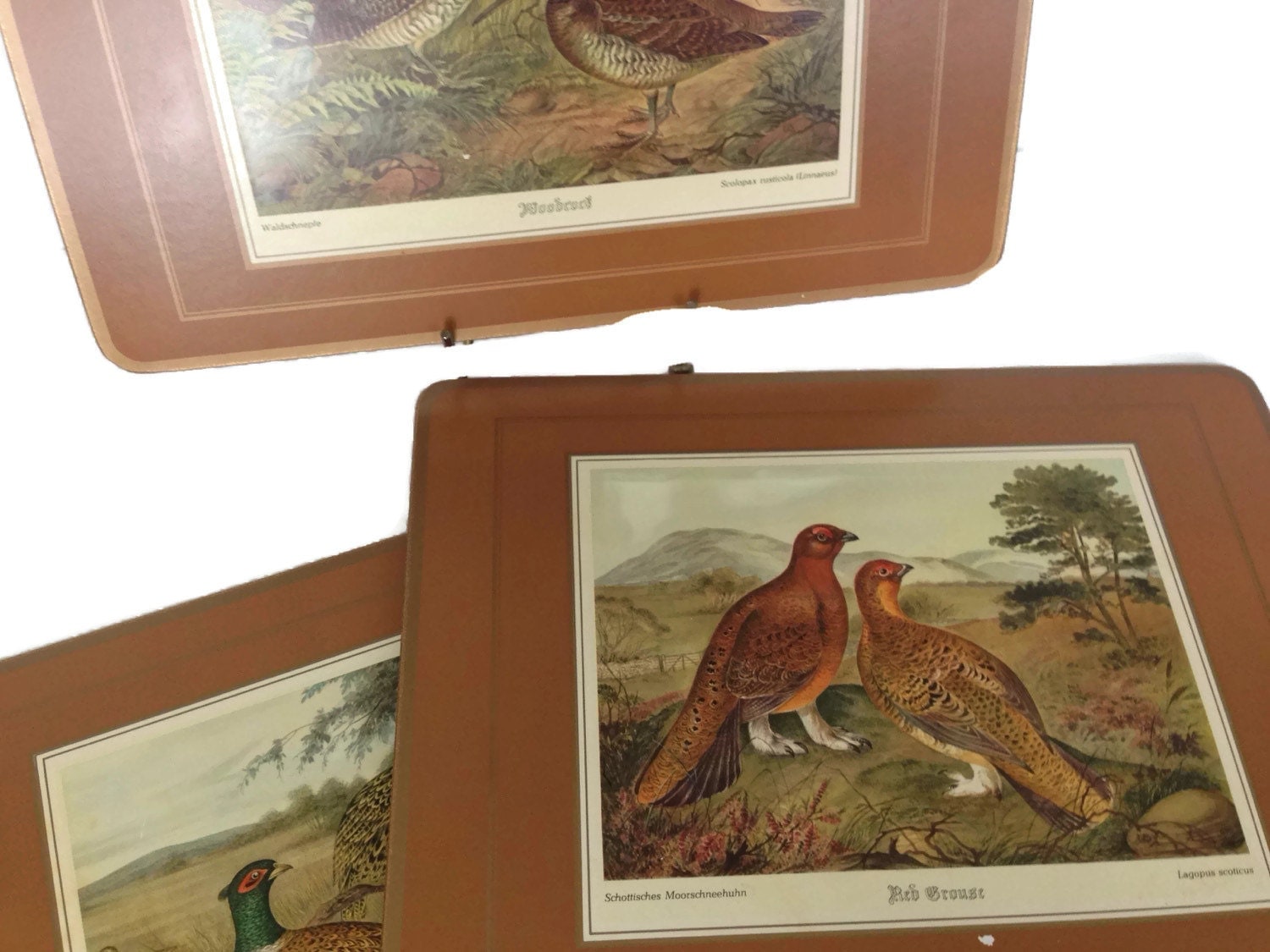 Vintage Placemats Game Birds Cork Placemats Luncheon Size