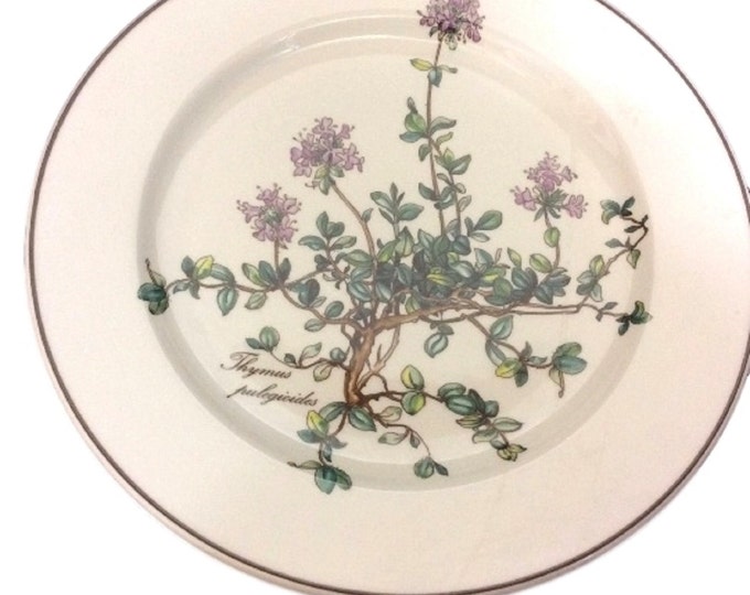 Villeroy & Boch Botanica Salad Plate Thymus, Vintage Villeroy and Boch Porcelain Botanica Side Dish, No root