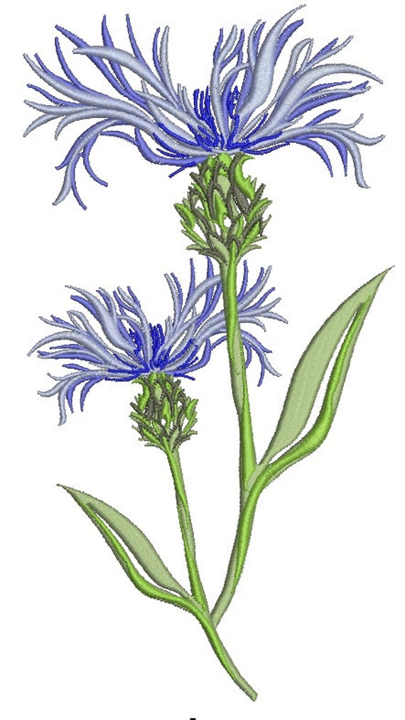 cornflower / knapweed Machine Embroidery design