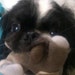 Rhonda Flores Garran