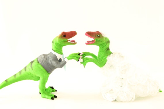 Raptor Bride & Groom Wedding Cake Toppers Raptor Bride & Groom Wedding Cake Toppers