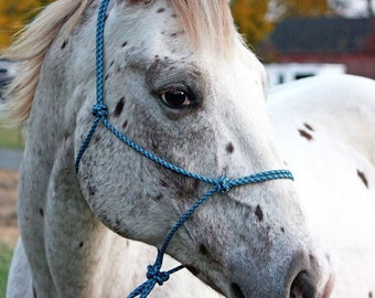 Custom 2 Knot Rope Halter, Custom Horse Halter, Rope Halter, Horse Halter, Horse Tack, Yacht Rope Halter, Custom Tack, Clinician Halter