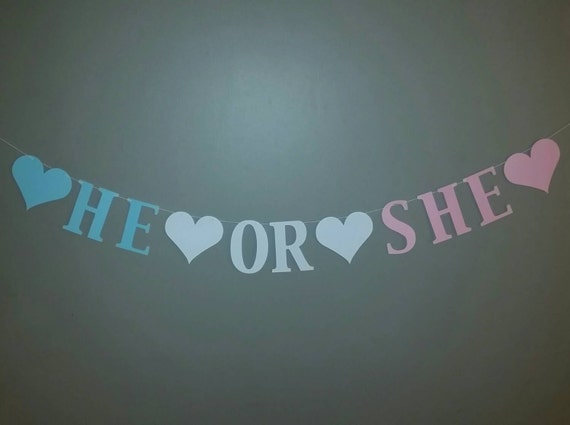He or She Banner Gender Reveal Banner Pregnancy Reveal