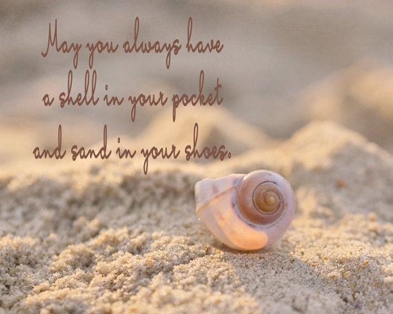 Seashell quote coastal wall print quote beach photography