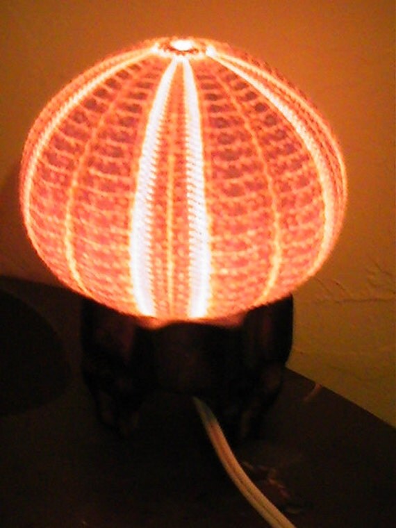 6 Sea Urchin Night Lamp Urchin Shell Light by TheNautiShellCo