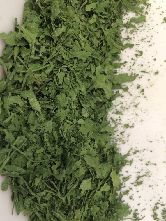 Fresh Dried Cilantro