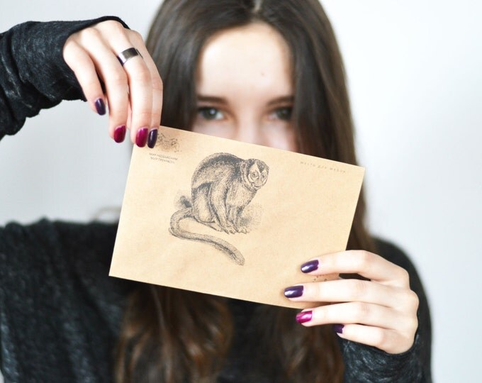 in the animal world ∞ set of 10 envelopes ∞ inexplicable . perfect ∞ FLYER envelope ∞ will fulfil your wish ∞ magic time ∞ 2016 ∞