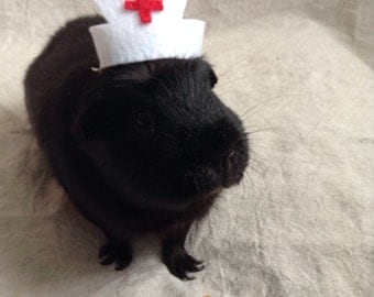 Nurse Hat For Guinea Pigs