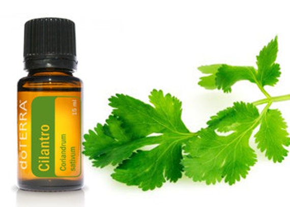 Items similar to doTerra Cilantro Essential Oil 15 ML New Craft Beer ...