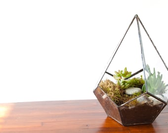 Glass Terrarium - Pentagonal Terrarium / Teardrop Terrarium / Hanging Terrarium / Display Box / Candle Holder by Geodesium