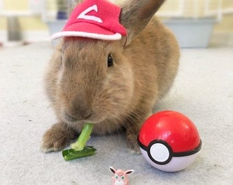 Pet Rabbit Pokemon Hat, Pet Rabbit Hat, Pet Rabbit Costume, Pet Rabbit Accessory, Pokemon, Pet Rabbit Pokemon