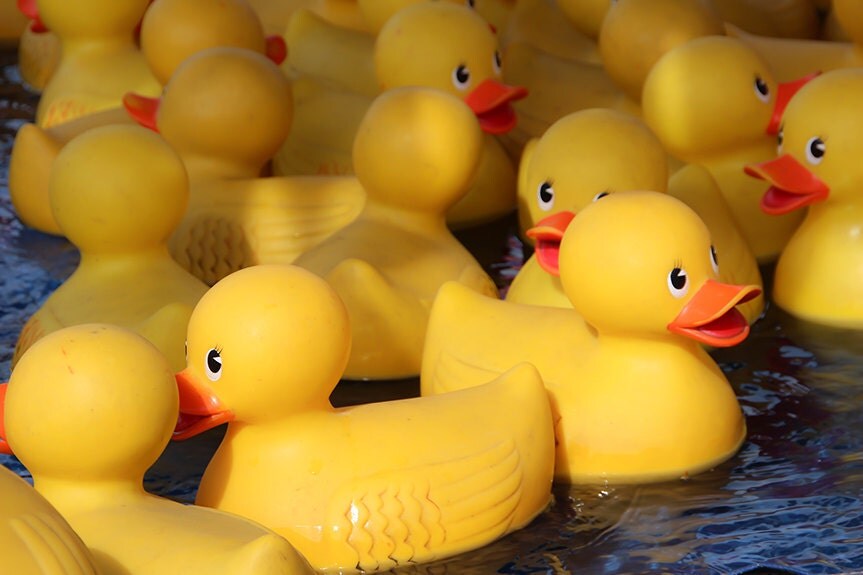 Yellow Rubber Ducks 2 Carnival Fair Game Fine Art Print